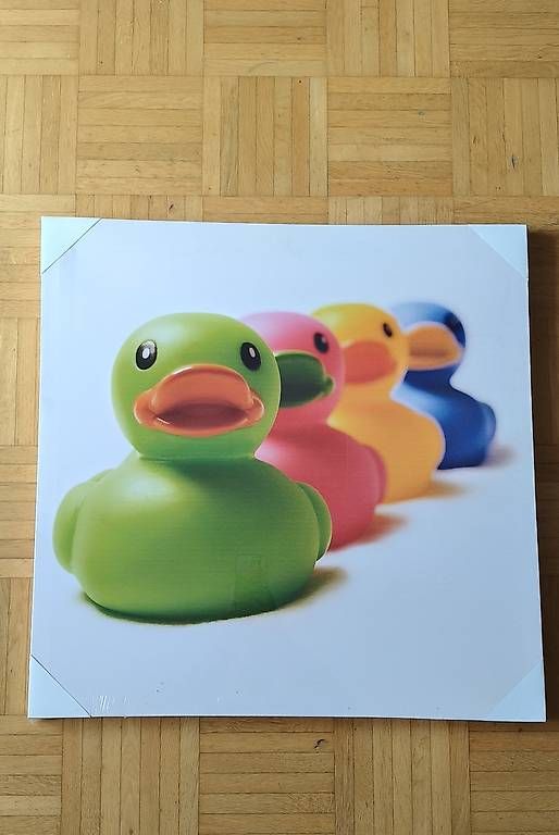 Foto & Immagini: Bild mit Enten – Usato da Winterthur venduto da n_c_7gxz