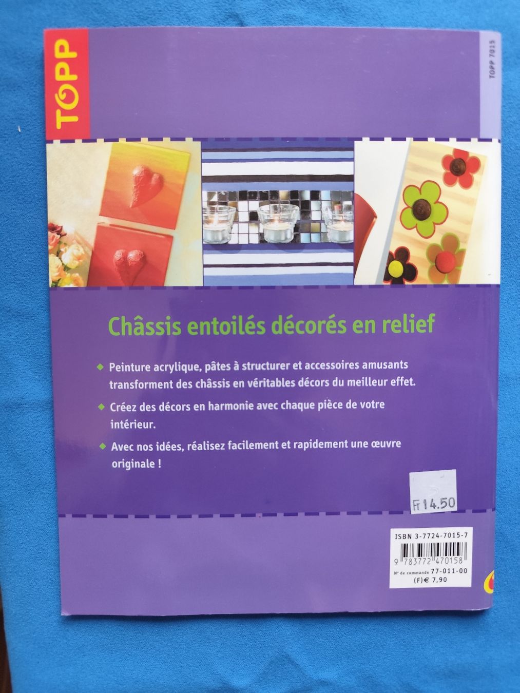 Libri: Livre de loisirs créatifs Châssis entoilés décorés – Nuovo e nell'imballaggio originale da Cornaux NE venduto da Mimi983 1