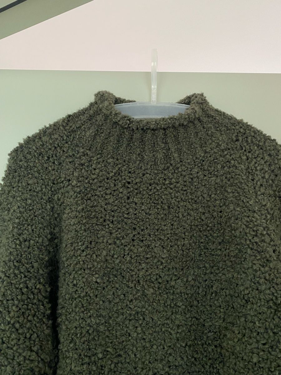 Maglioni & Felpe: Pullover grün Gr 42 neu – Nuovo (secondo la descrizione) da Brugg AG venduto da Honeybee6 3
