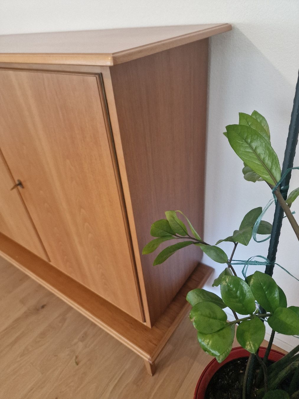 Credenze: Mid-Century Highboard (Möbelfabrik E. Schwarz) – Usato da Gattikon venduto da Biber50 4