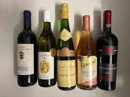 5 Flaschen Wein: Pinot Noir, Gewürztraminer, Primitivo