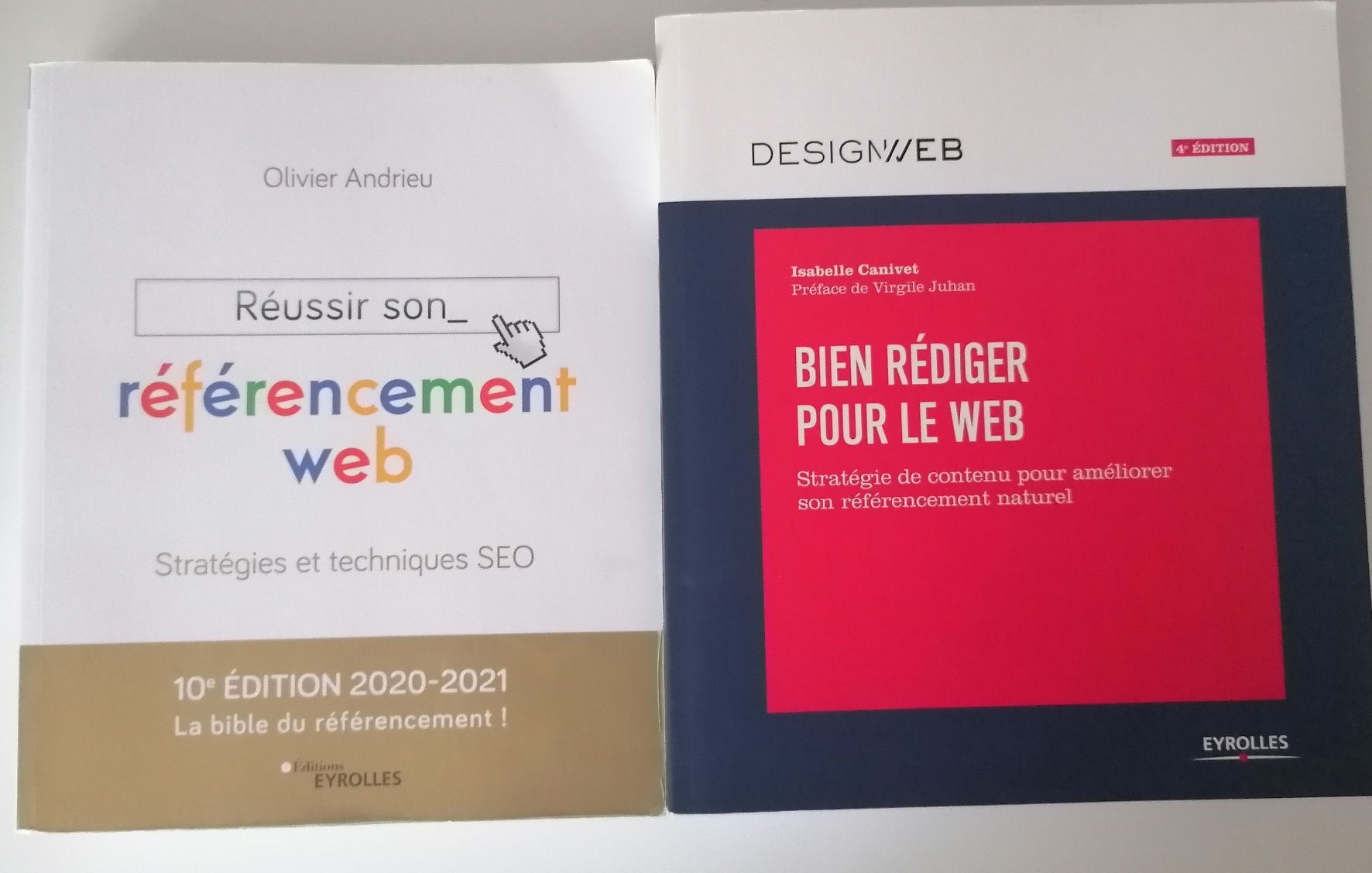 Libri: Réussir son référencement Web + Bien rédiger pour le Web – Usato da Ecublens VD venduto da loi_dy6b