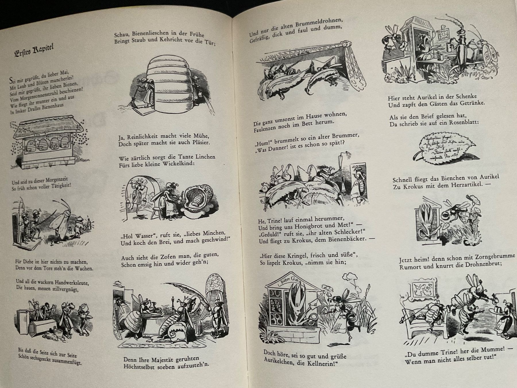 Libri: Willhelm Busch ALBUM – Usato da Bottighofen venduto da onyx42 5