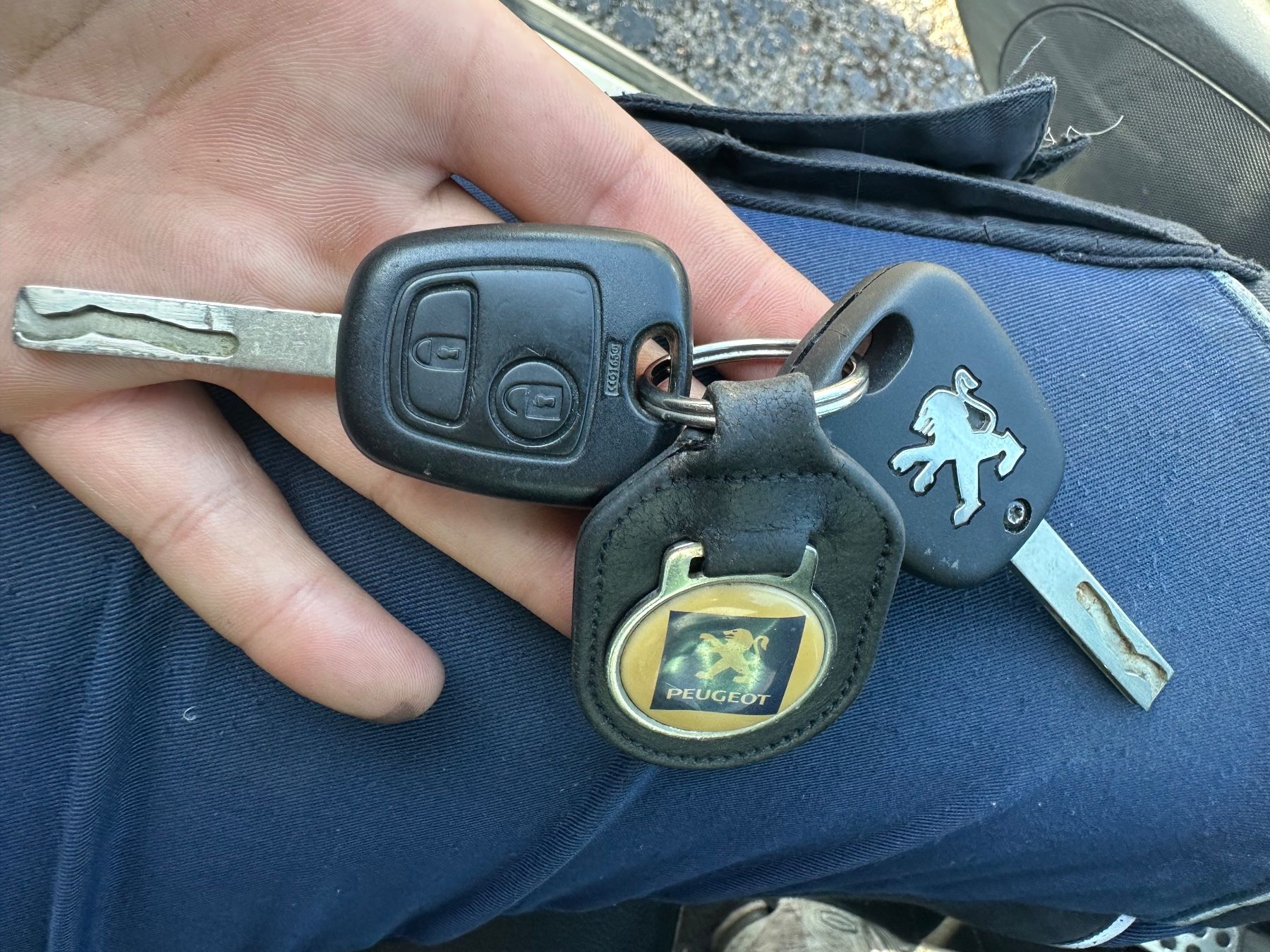 Peugeot Automobili: Peugeot 307CC – Usato da St.Gallen venduto da Marcolino46 4