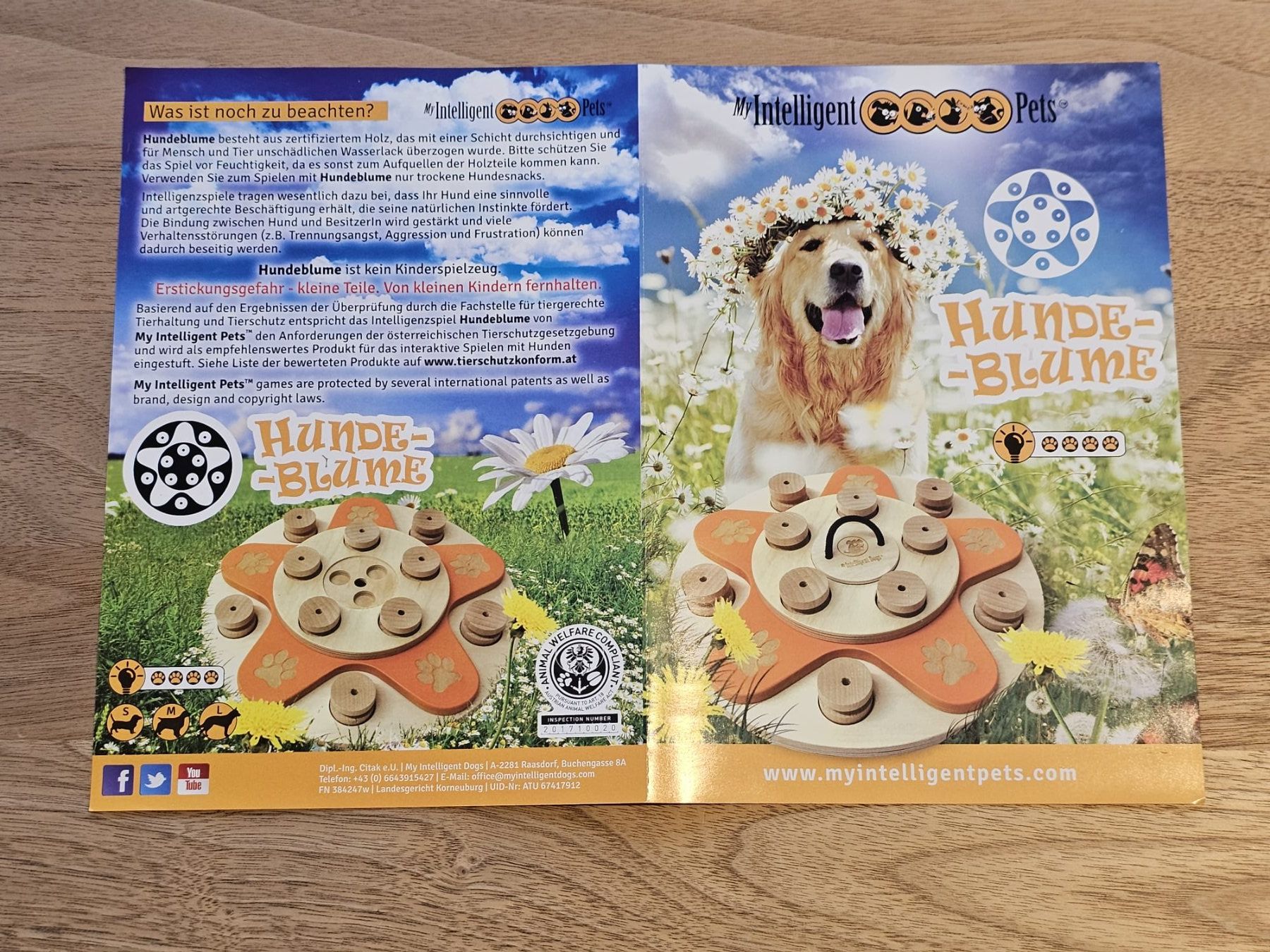 Spielzeuge: Intelligenz Spielzeug Hund Dog's Flower – Neu (gemäss Beschreibung) aus Matzingen von C.Gfeller 3