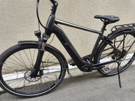 E-bike Pegasus Grösse L 