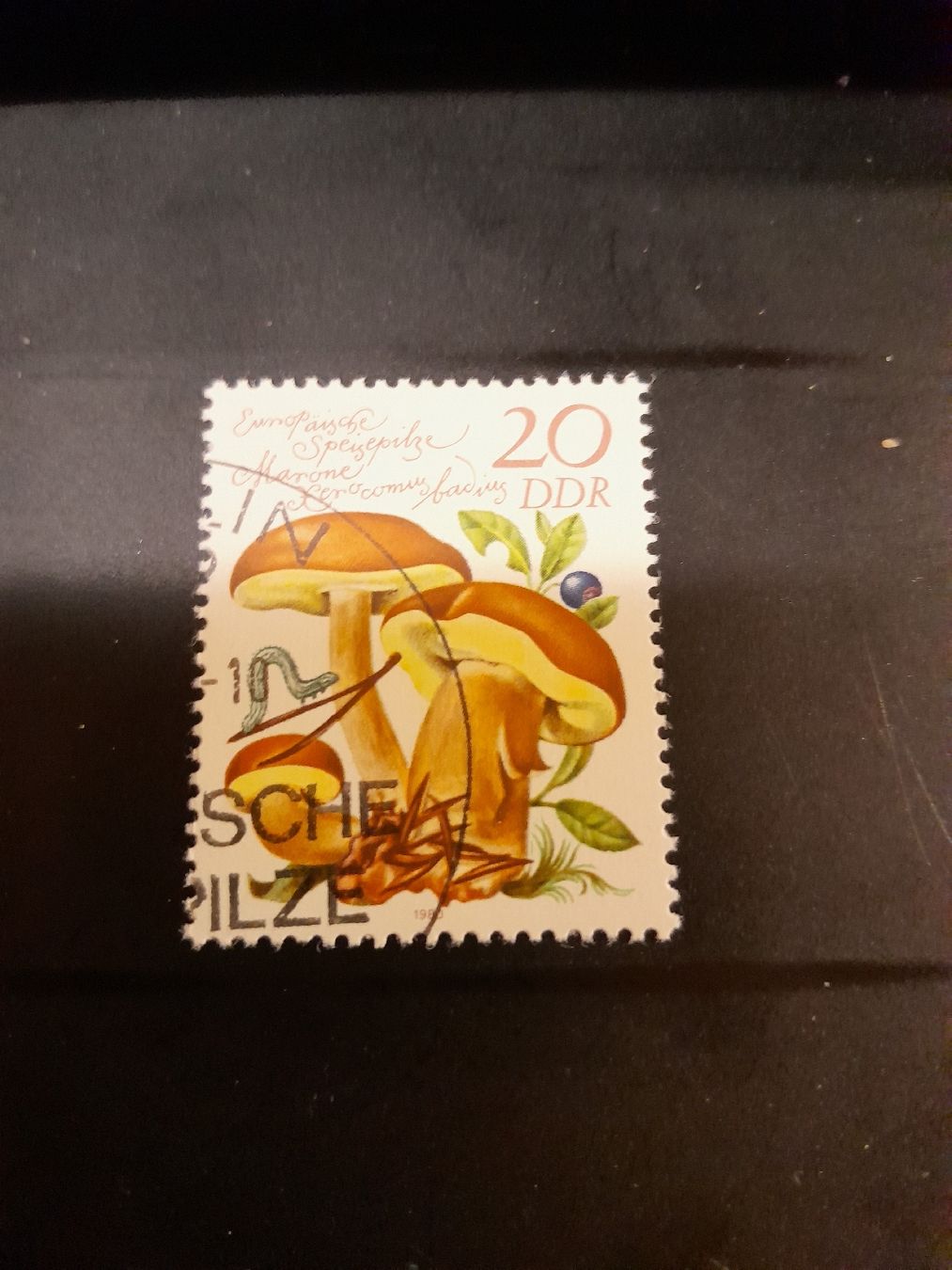 Tutti i francobolli: Timbre DDR - Champignons comestibles - Collection rare! – Usato da Marly venduto da globetrotter1723