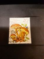 Timbre DDR - Champignons comestibles - Collection rare!