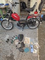 Pony Gtx Mit Ausweis Schönes Mofa 