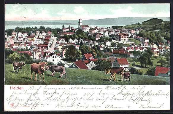 Cartoline postali: AK Heiden, Blick über die Dächer, 1904 – Usato da Berlin venduto da bartko-reher