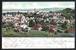 AK Heiden, Blick über die Dächer, 1904