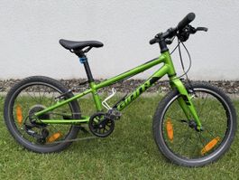 Kinder Fahrrad Giant 20 Zoll grün guter Zustand