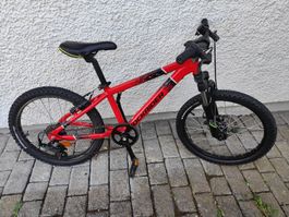 Rockrider Kinder MTB