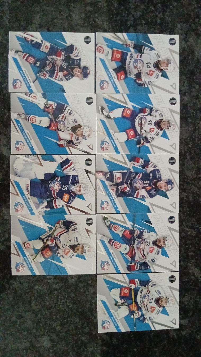 Sportzoo Cartes à collectionner: Eishockey Karten Set ZSC – Neuf (Voir description) à Düdingen par oliheimo92