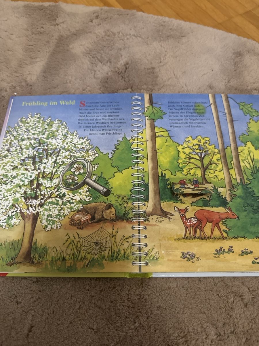 Bücher: Kinderbuch, Im Wald, Besserwisser Mini – Gebraucht aus Horgen von AA.AW55 3