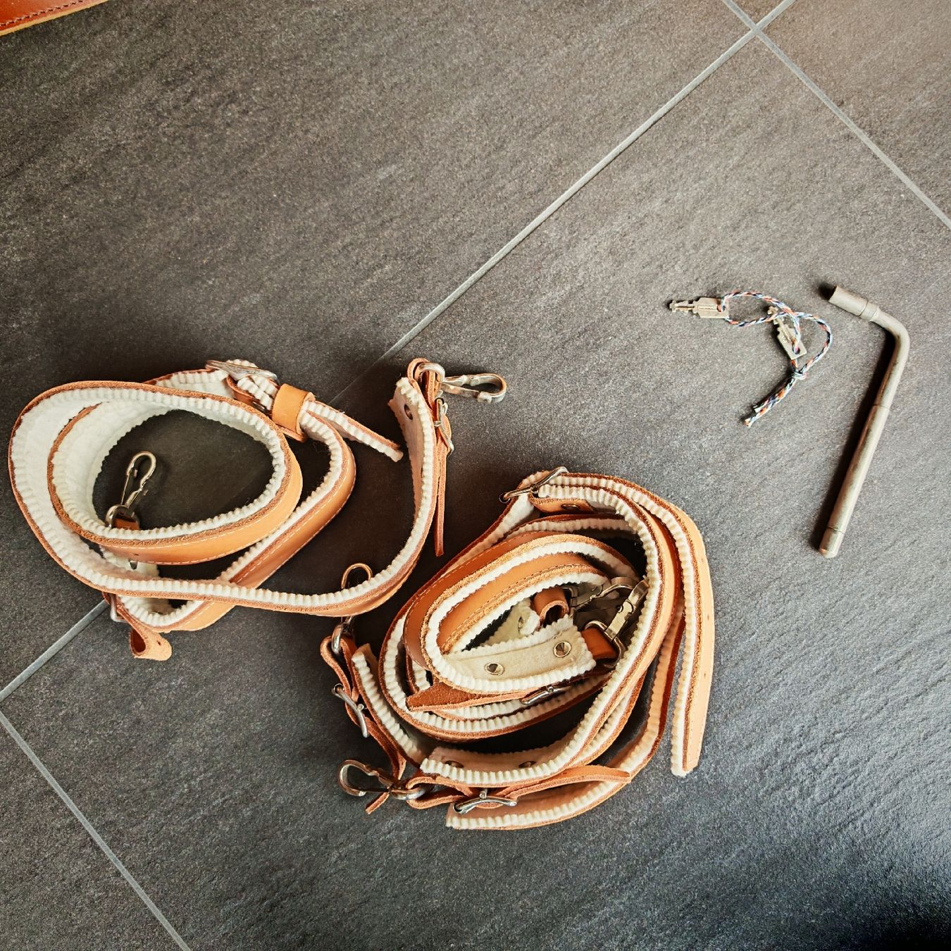 Strumenti musicali: Appenzeller Hackbrett von Werner Alder – Usato da Appenzell venduto da jositoja 3