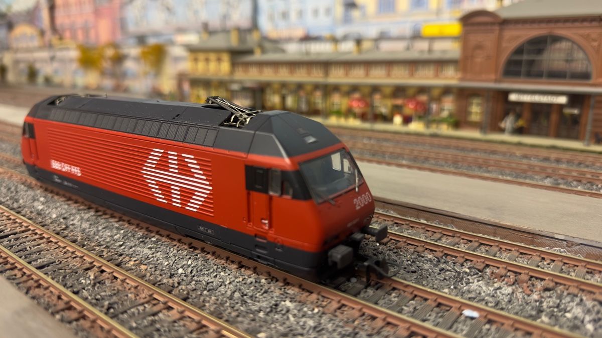 Roco Modellini di ferrovie: Roco 43655 Re460 SBB – Usato da Glattpark (Opfikon) venduto da anywaya23 2
