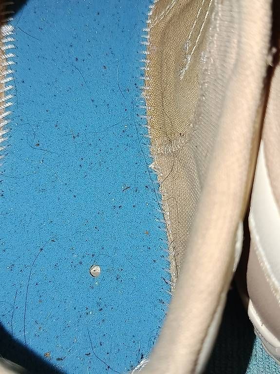 Scarpe da uomo: Baskets Converse neuve 42,5 – Nuovo e nell'imballaggio originale da Yverdon-les-Bains venduto da oli_8q9f 3