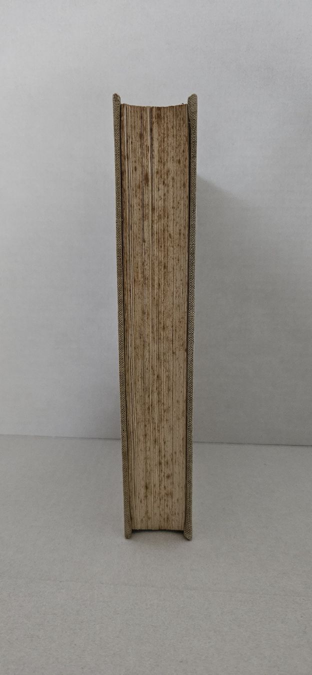 Libri: Die Grenzbesetzung 1914–1918 – Usato da Wangen SZ venduto da Auction-Sea 2