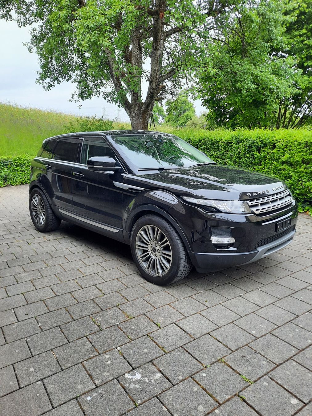 Land Rover Automobili: Range Rover Evoque 2.0Si4 Prestige – Usato da Ottikon b.Kemptth. venduto da Sharan6