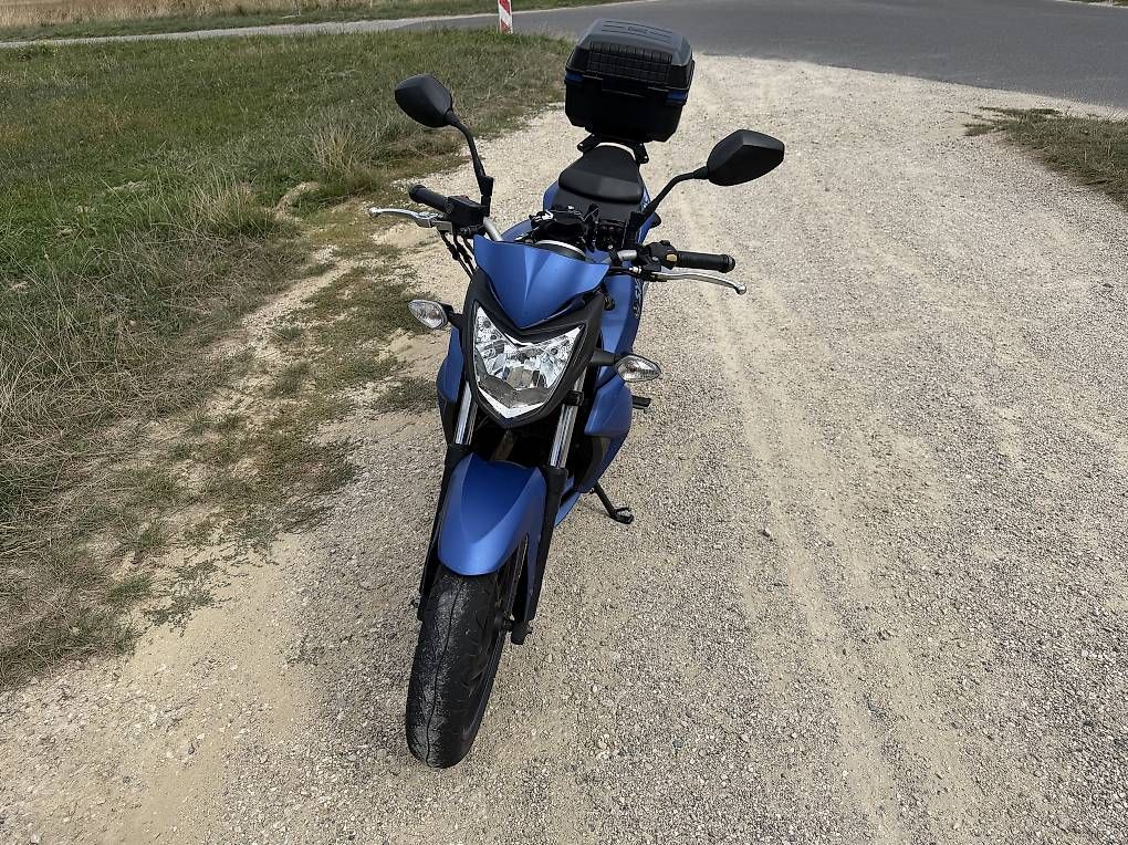 Strada: Sym Wolf 250i – Usato da Petit-Lancy venduto da Londnon 2
