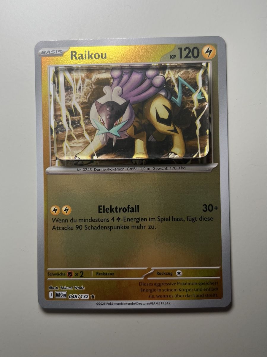 Pokémon Carte collezionabili: Pokemon Raikou Magnet – Nuovo (secondo la descrizione) da Langenthal venduto da EceSuzu 1