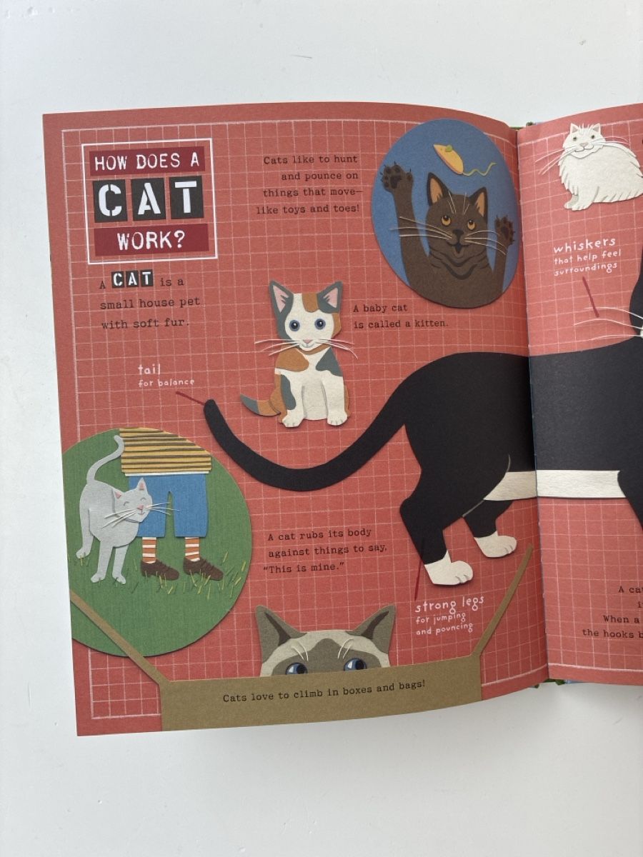 Libri: How Things Work in the House – Usato da Lucens venduto da metaD 2