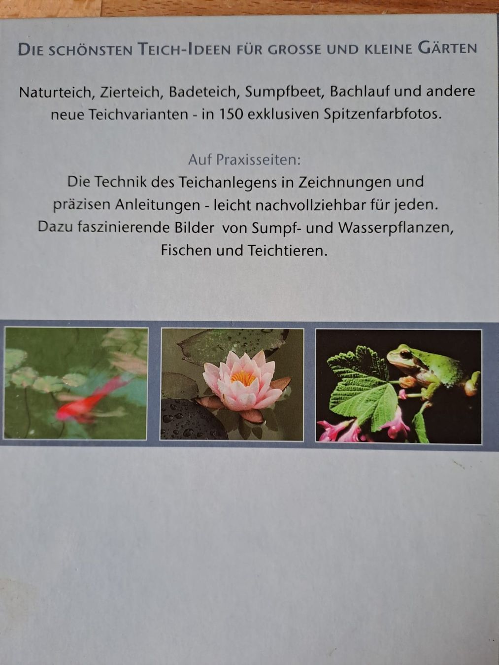Libri: Gartenteich die schönsten Ideen – Nuovo (secondo la descrizione) da Sevelen venduto da Cangaroo 1