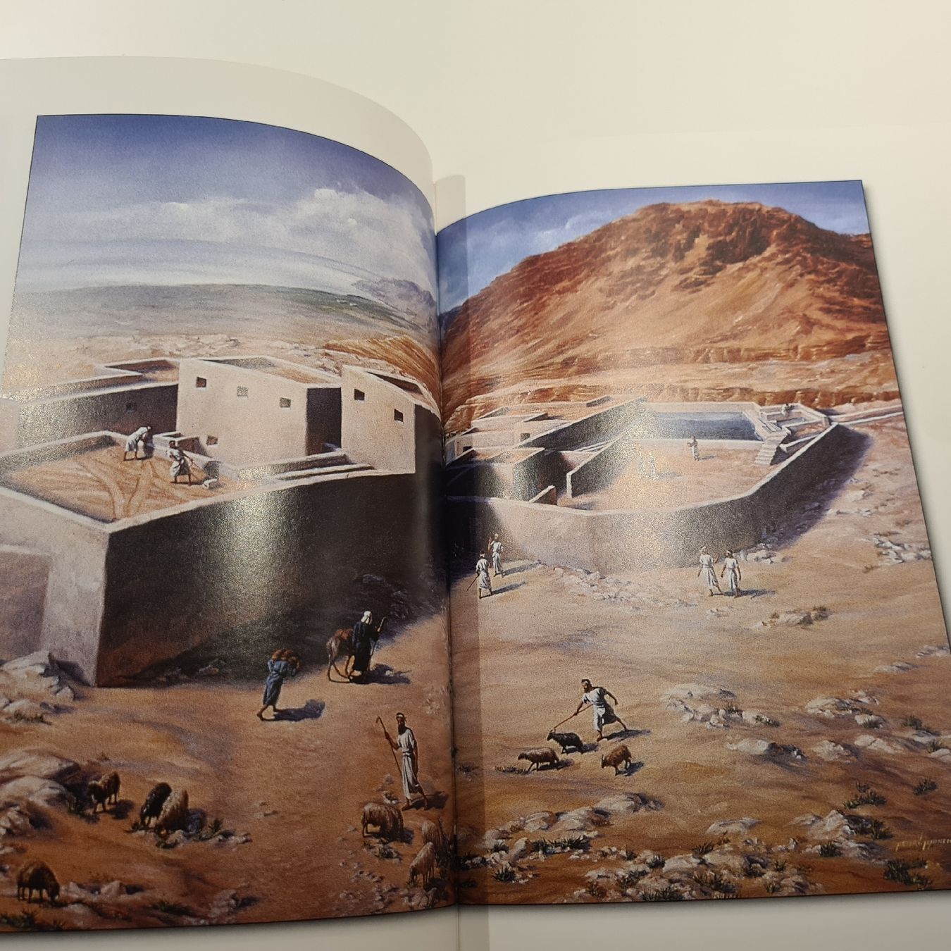 Libri: National Geographic Bibliothek – Usato da Steinen venduto da turbogeiss99 9