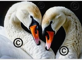Fine Art Poster A0 (84.1 x 118.9 cm), Horizontal