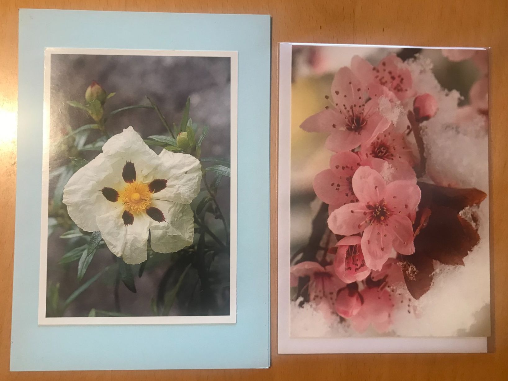 Cartoline postali: 2x Grusskarten Blumen – Usato da Luzern venduto da mey_s13