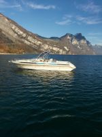 Motorboot Windy 7800