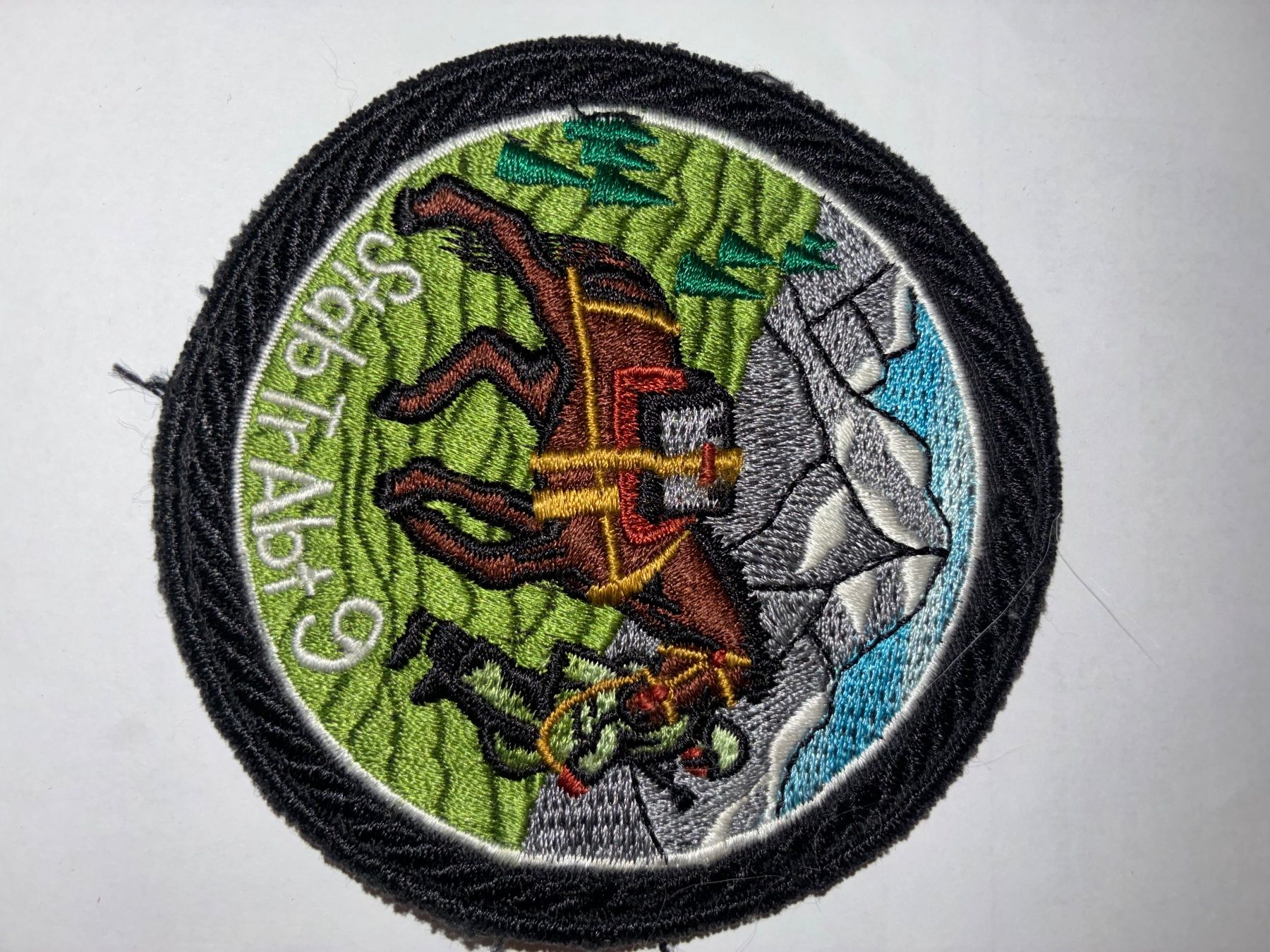 Schweizer Armee Patches: Badge Stab Tr Abt 9 – Gebraucht aus Oberiberg von stab
