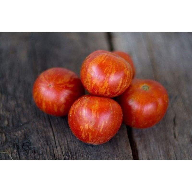 Piante & sementi: 50 Samen TIGERELLA Tomate – Nuovo (secondo la descrizione) da Ehrendingen venduto da VerveinaSamen 1