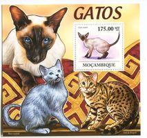 Block "Katzen". Mosambik.