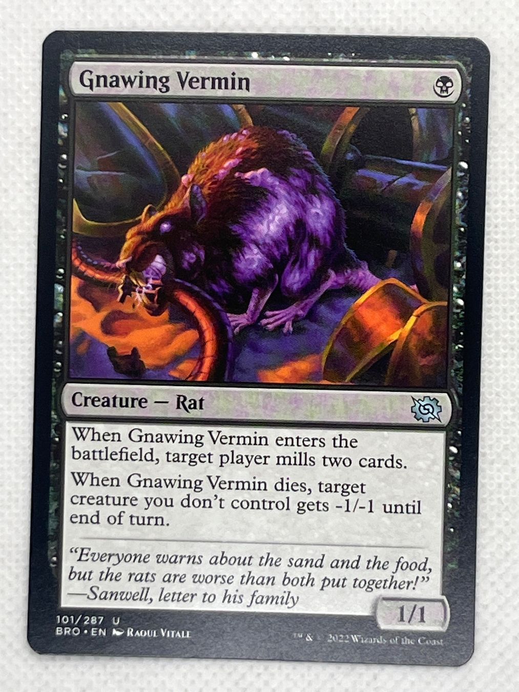 Magic The Gathering Carte collezionabili: MTG Gnawing Vermin BRO 101 Englisch Uncommon – Usato da Hinterkappelen venduto da Kim1992
