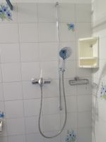 Duschgarmatur mit Brausestange und Handbrause gebraucht