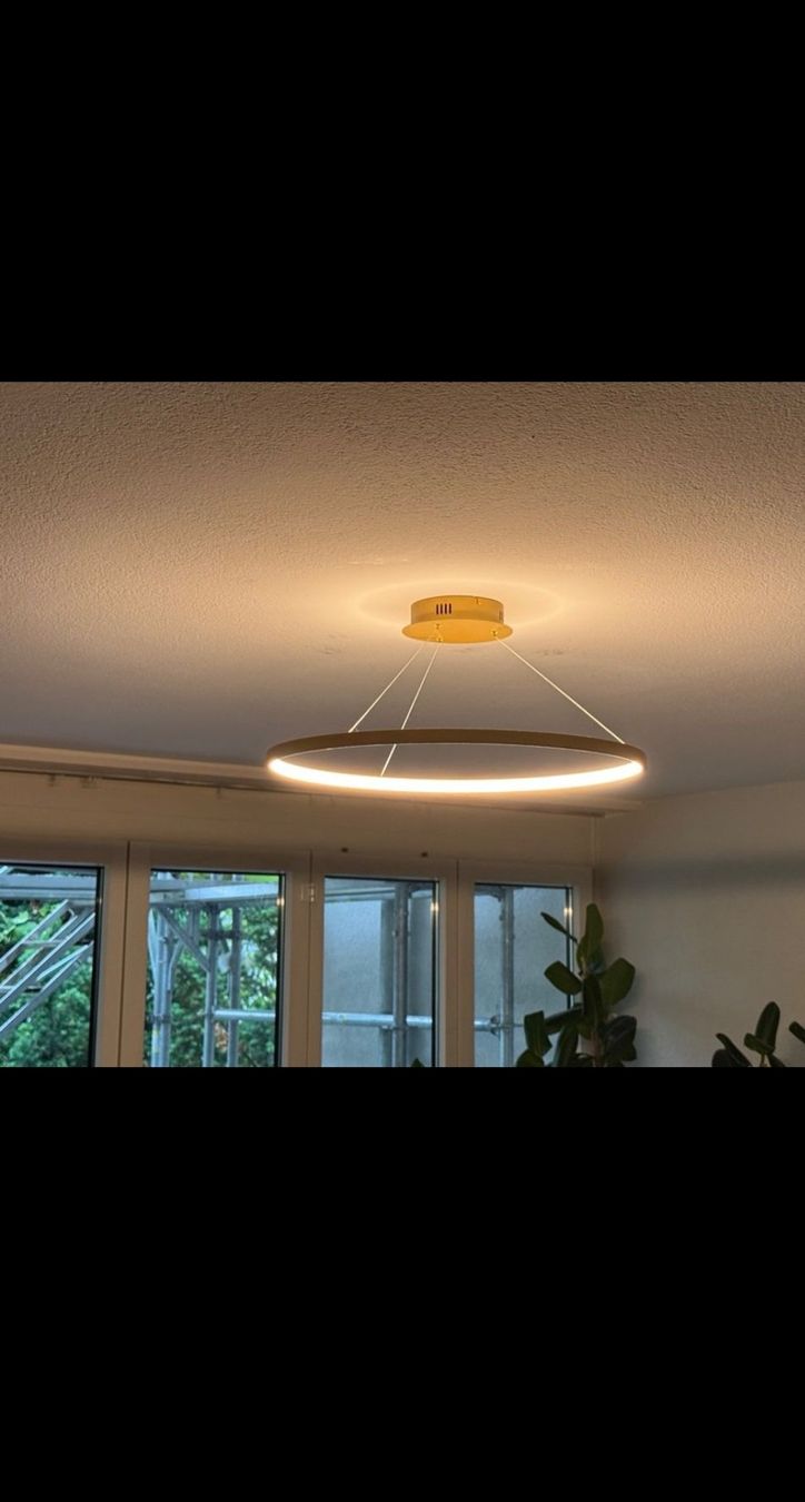 Lampadari & plafoniere: Decken Lampe Halo, LED, gold – Nuovo e nell'imballaggio originale da Bern venduto da tab_5mqd