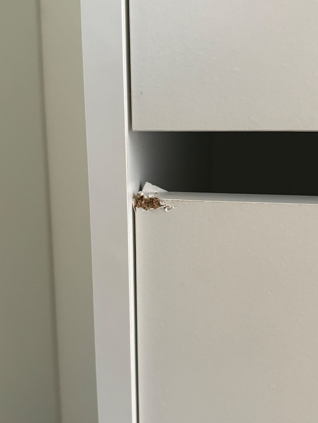 Ikea Regale: IKEA BISSA Scarpiera a 2 scomparti, bianco, – Gebraucht aus Vacallo von lit_dz2p 1