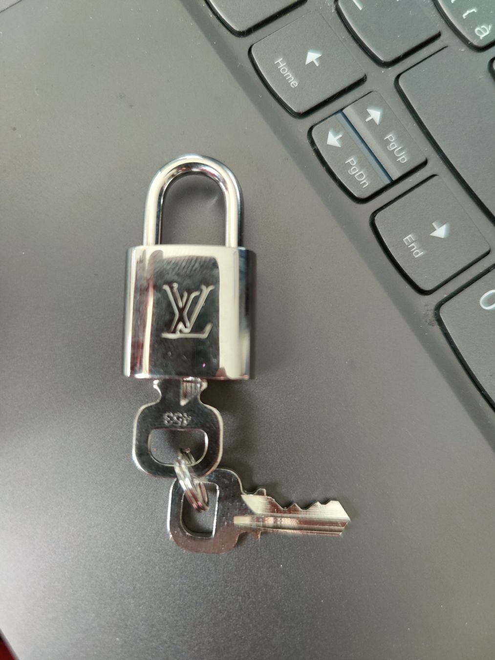 Schlösser: LOUIS VUITTON VORHÄNGESCHLOSS – Neu und originalverpackt aus Winterthur von der-SIMER 5