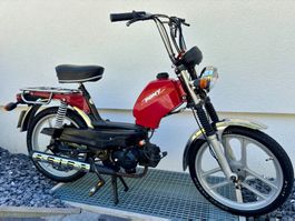 🐎 PONY GTX mit Blinker & E-Start