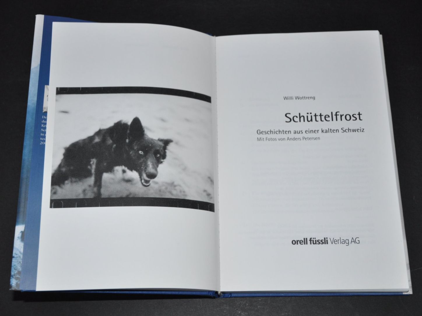 Libri: Willi Wottreng - Schüttelfrost – Usato da Boll venduto da Theodora15 3