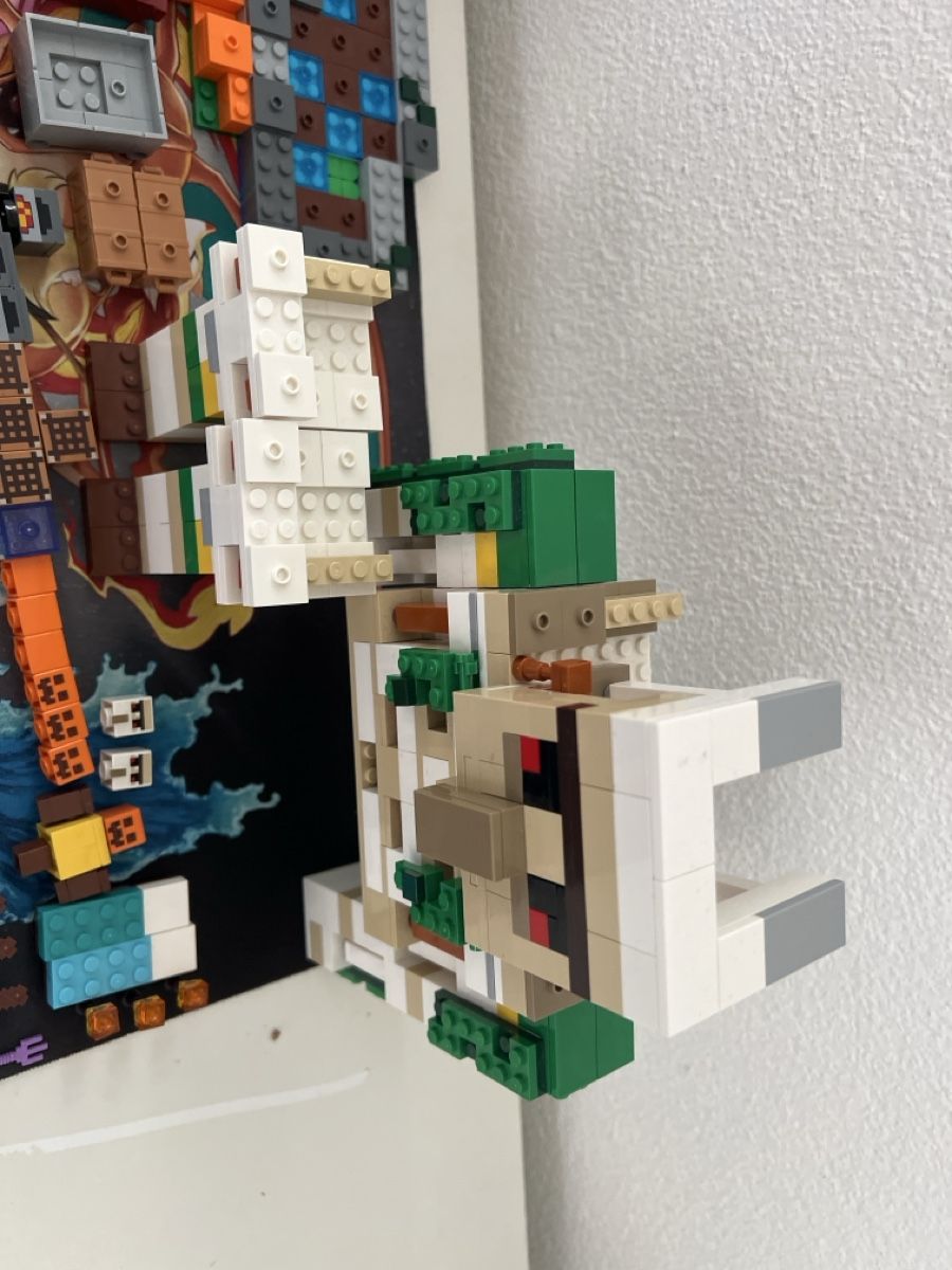 Lego Giocattoli: Lego Minecraft Eisemgolem Höhle & Hexe Garten – Usato da Villmergen venduto da rob_n572 6