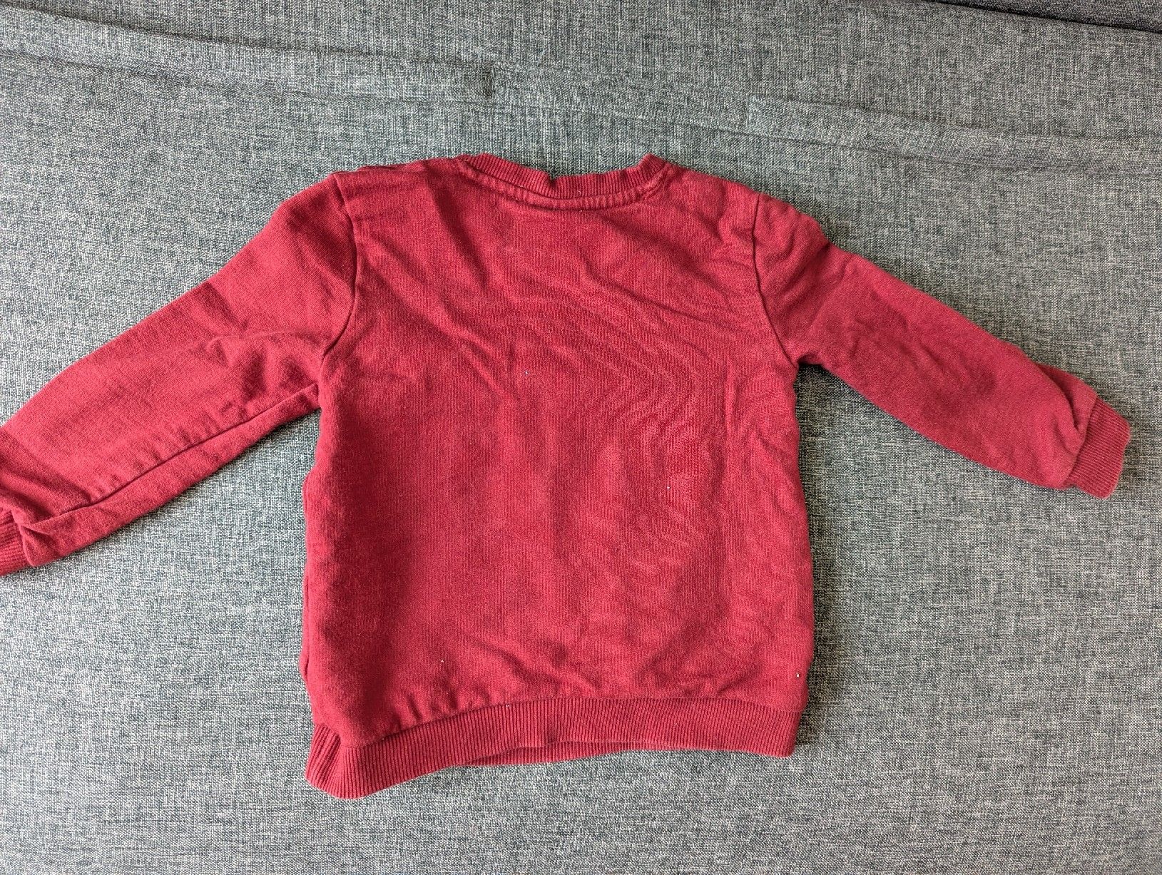Maglioni & Felpe: Bluey Sweatshirt, Grösse 92 cm – Usato da Zofingen venduto da Droni_A 1