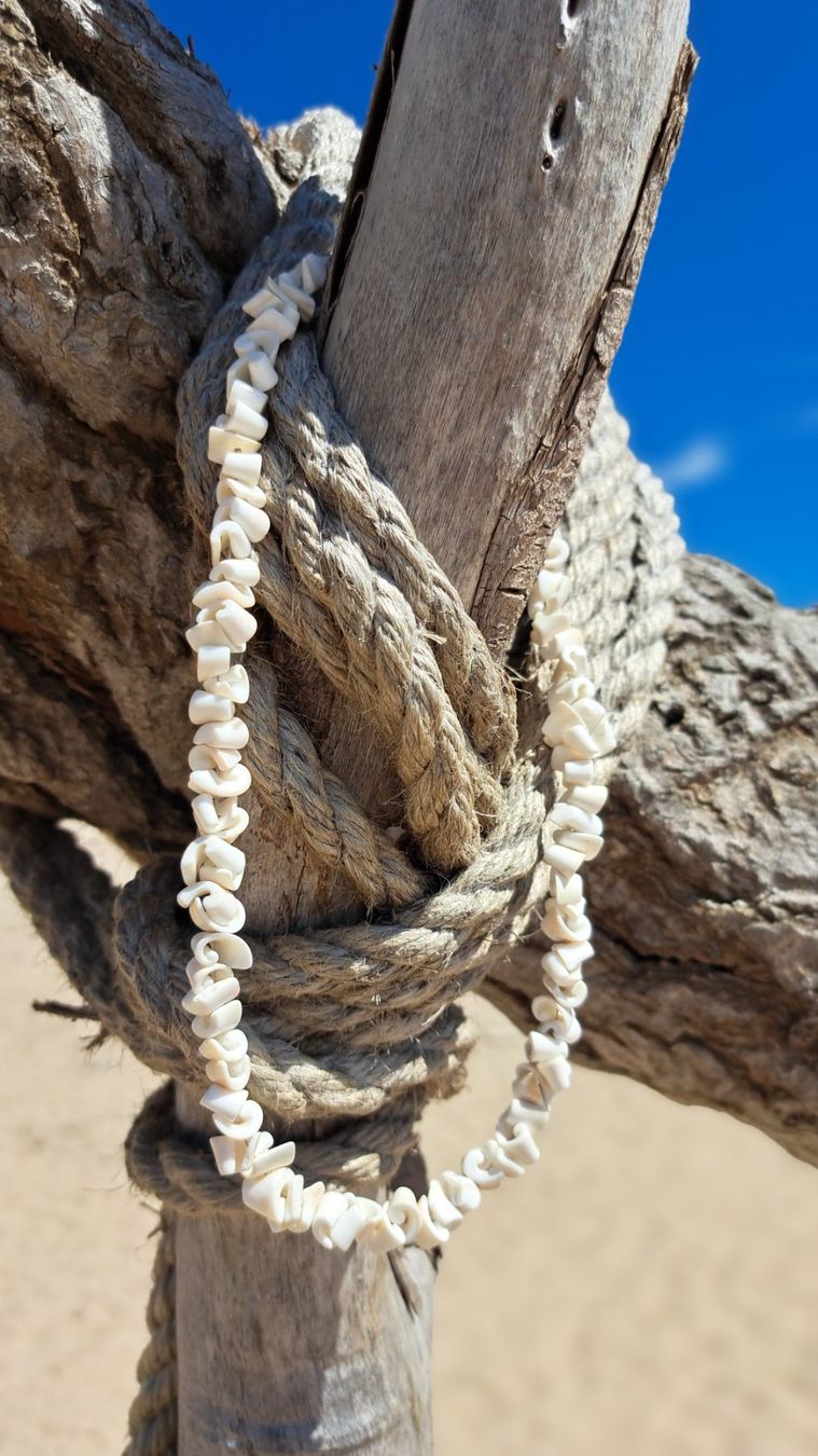 Catenine: Muschel-Kette – Usato da Reutigen venduto da IrisFashion