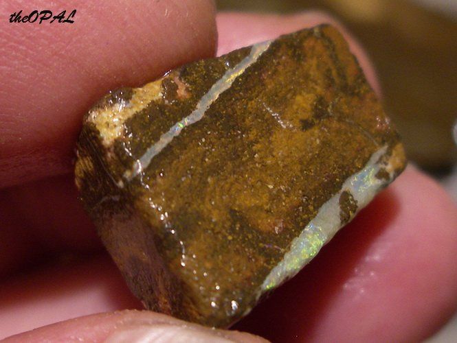 Minerali & Pietre curative: theOPAL *** 8 rohe australische Opale 760ct *** – Nuovo e nell'imballaggio originale da Ebnat-Kappel venduto da theOPAL 5