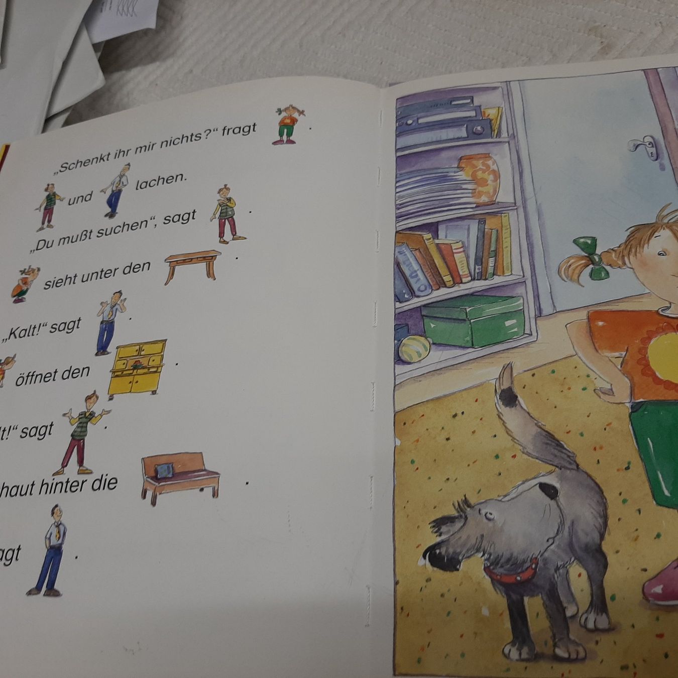 Libri: Nele hat Geburtstag – Usato da Zürich venduto da Schoebi19 3