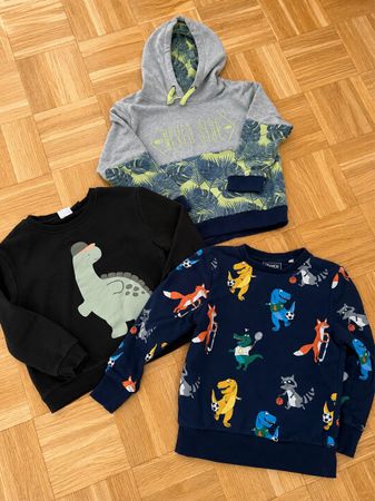 Lot de 3 sweats garçons motif animaux taille 116