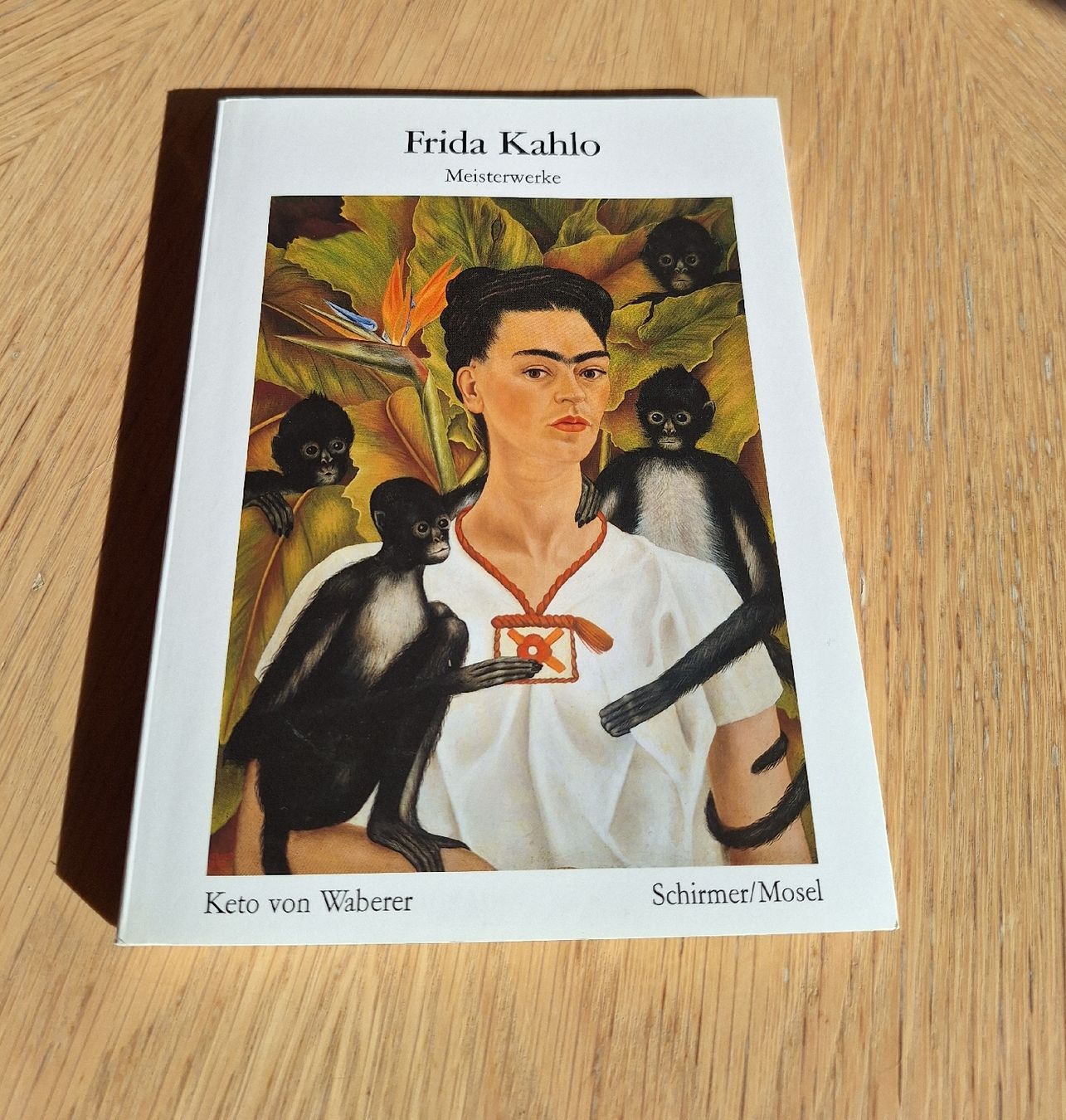 Libri: Büchlein mit Kunst von Frida Kahlo – Usato da Wimmis venduto da Nicnic5