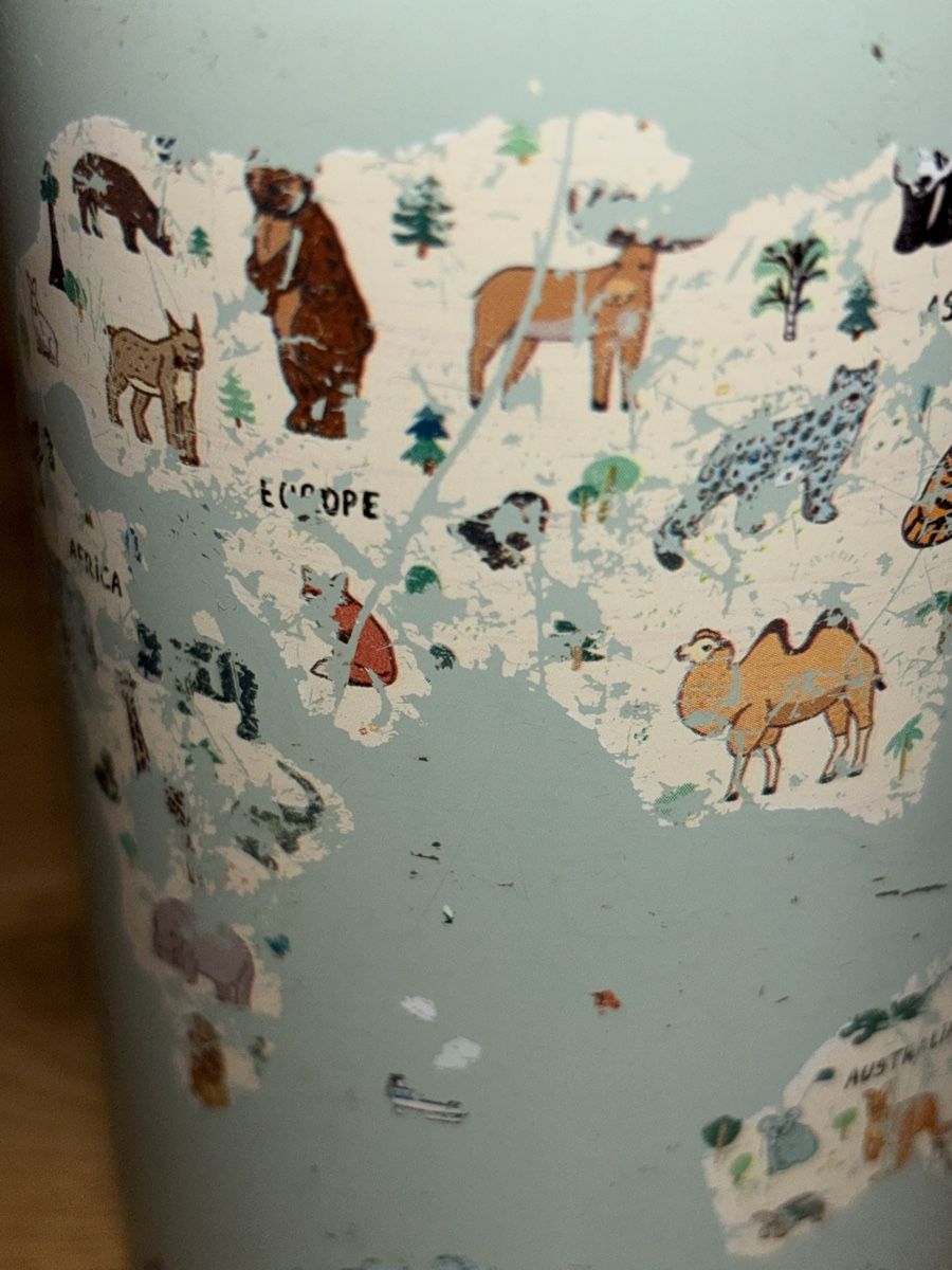 Gourdes & Thermos: Trinkflasche Kids – D'occasion à Bern par Innpic 2